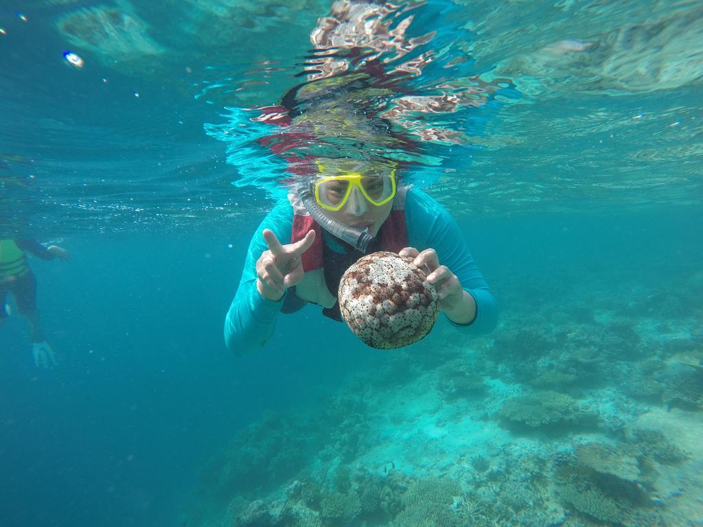 Lily Rest Maldives Hotell Maafushi Eksteriør bilde