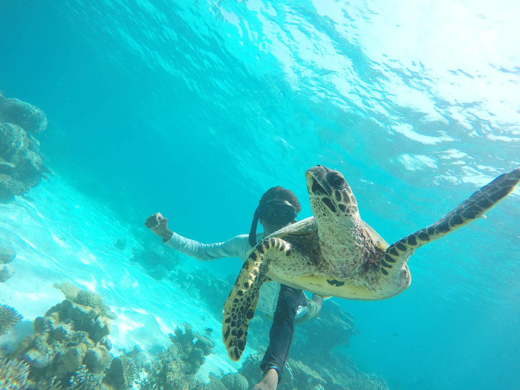 Lily Rest Maldives Hotell Maafushi Eksteriør bilde
